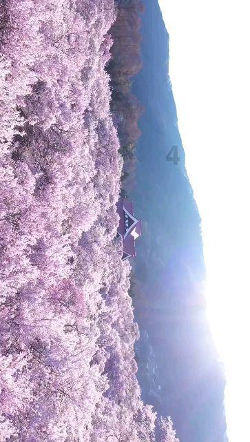 幻想三国志5