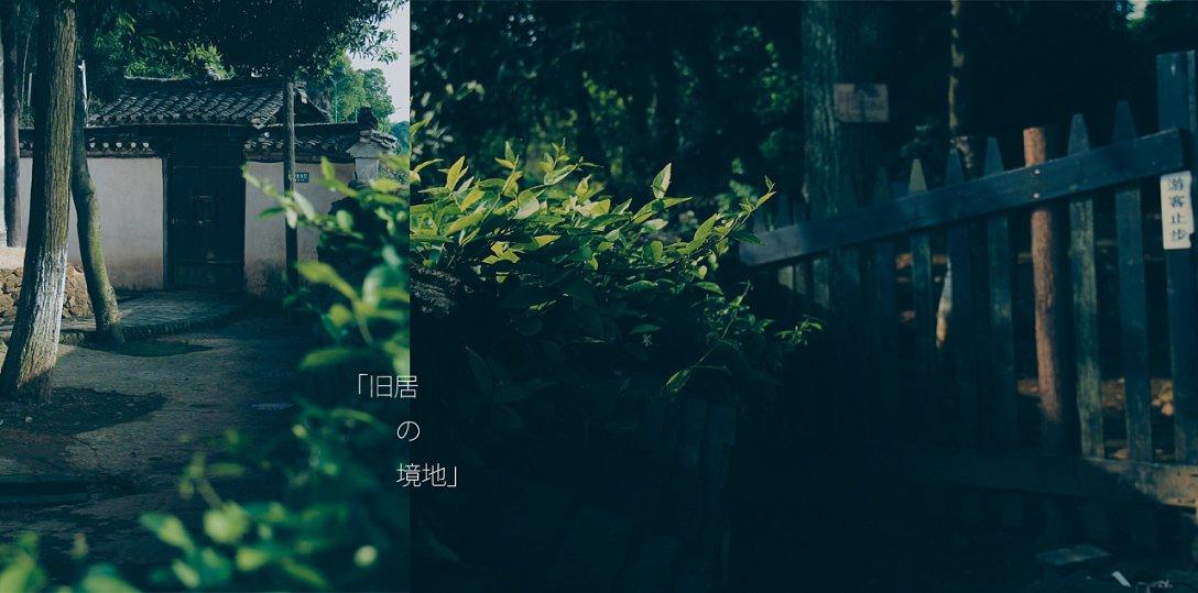 救援采蜜人