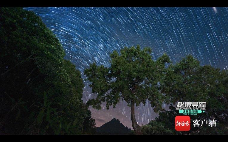 红烧狮子头怎么做？游戏画面
