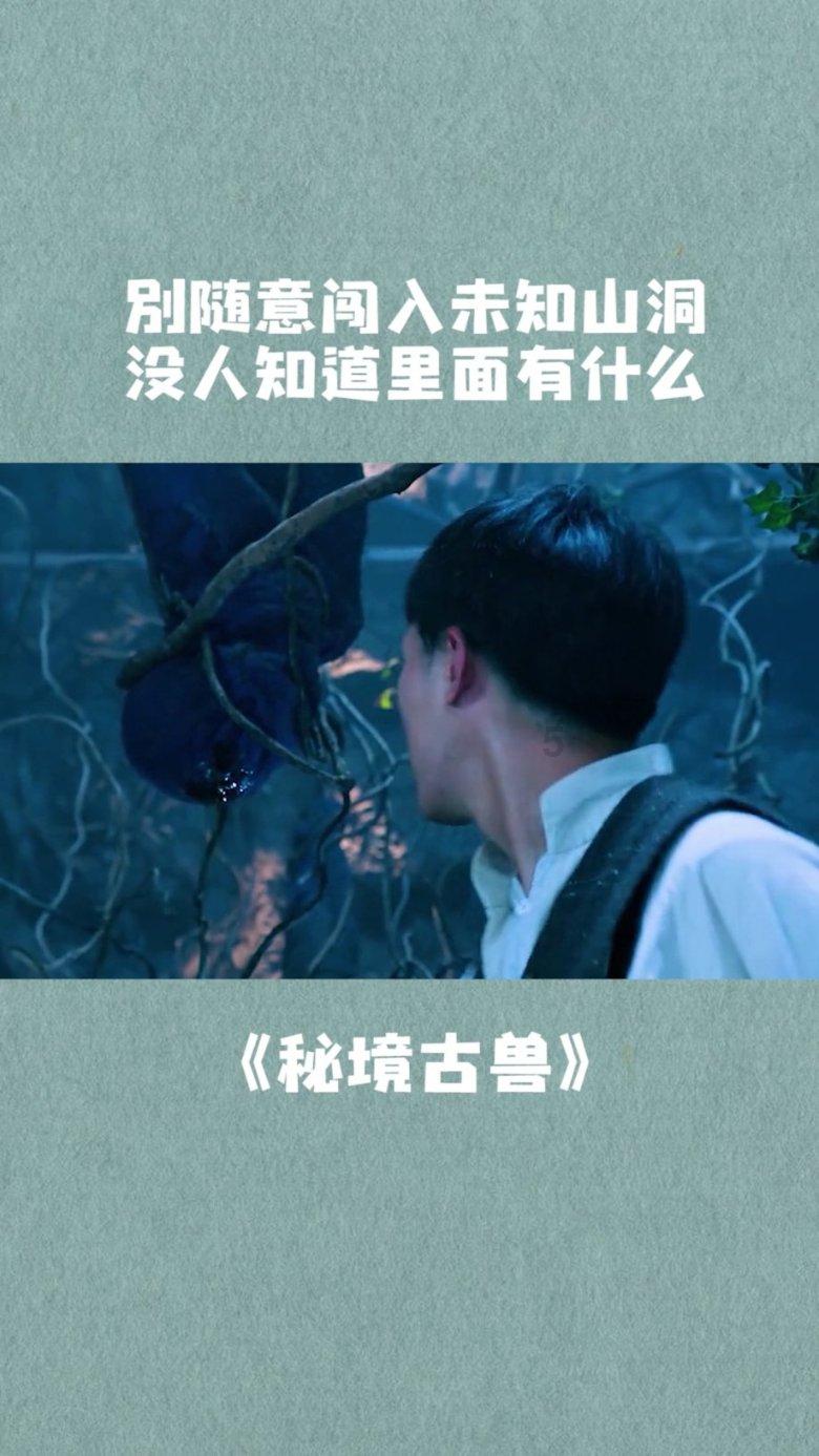 救援海盗章鱼