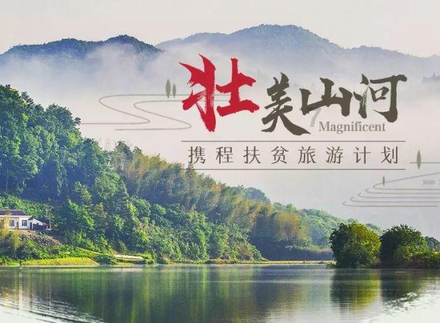 滚动的奶酪