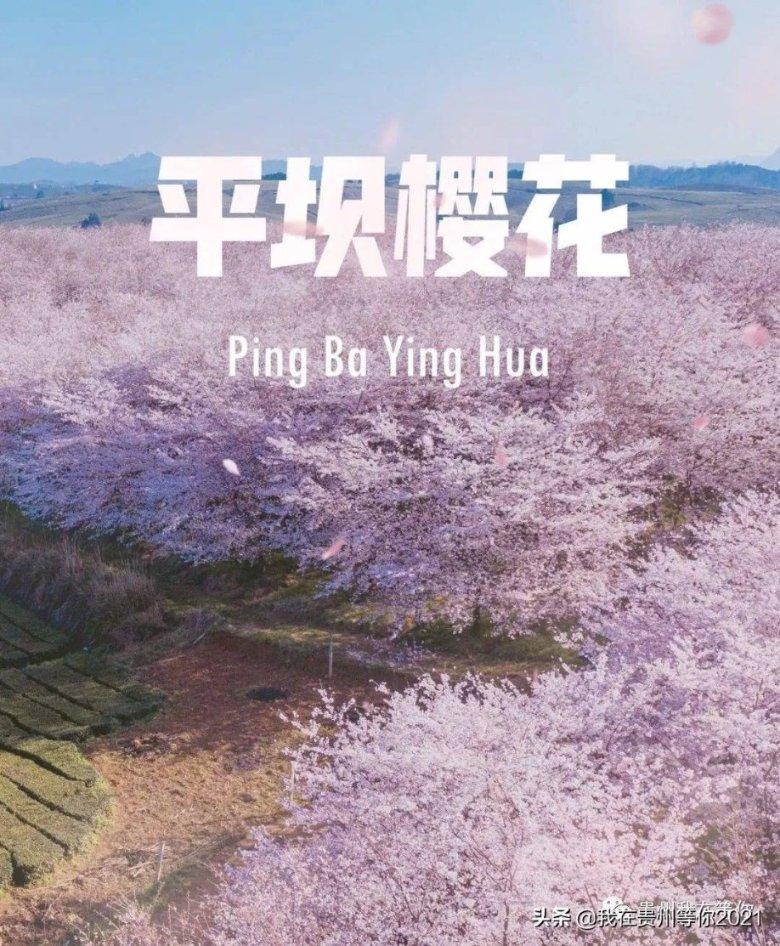 白露时节喝什么汤游戏画面