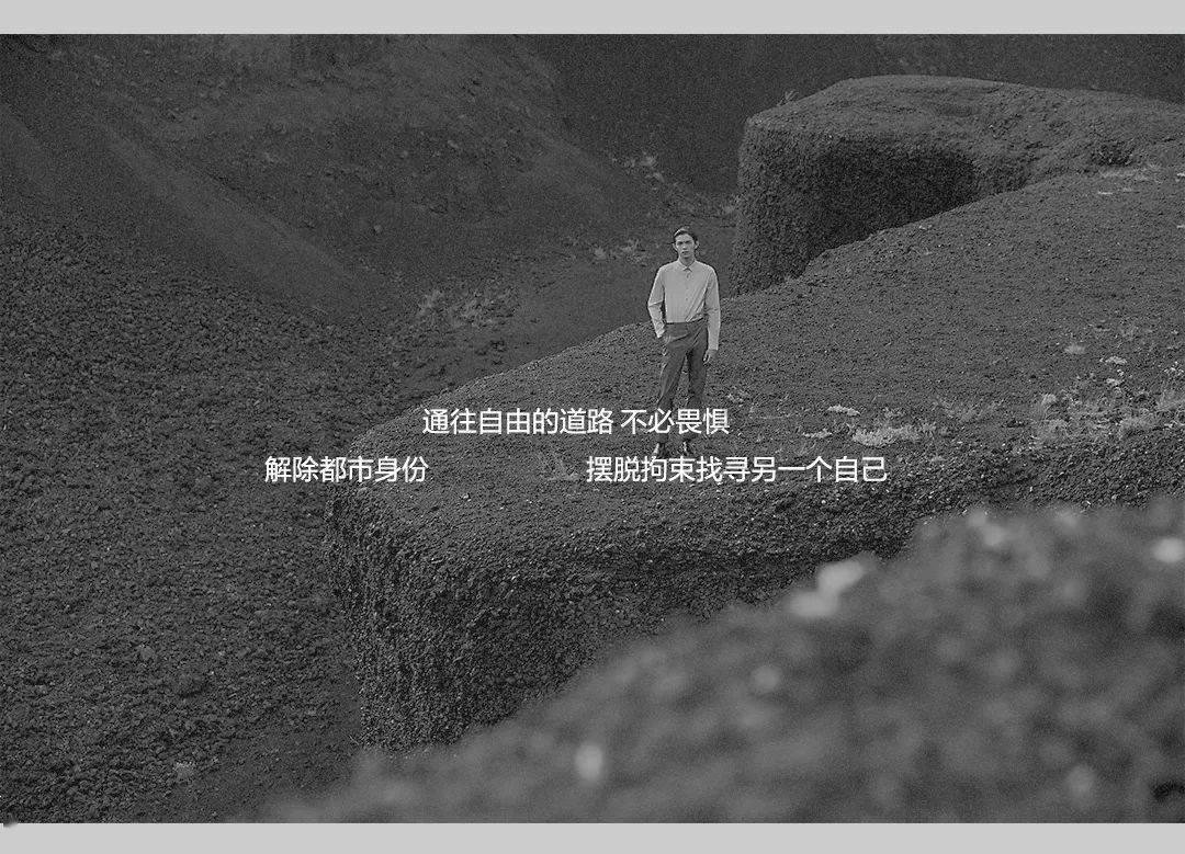 王莉霞在参加包头市代表团审议时说 对标先进 晋位升级 全力打造现代化工业高地