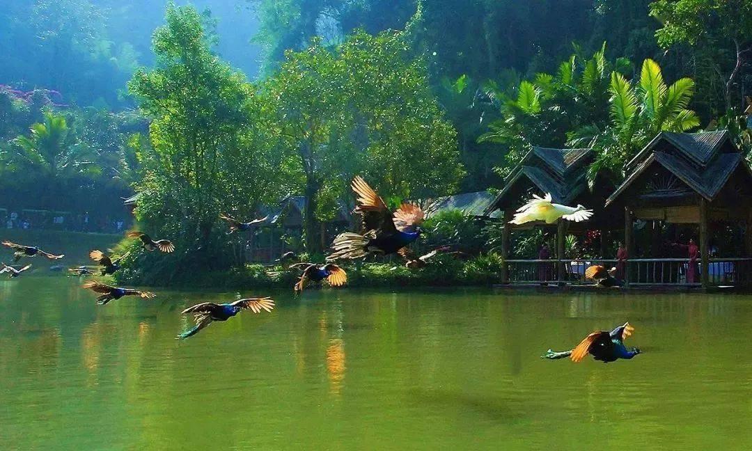 埃及坟墓的秘密