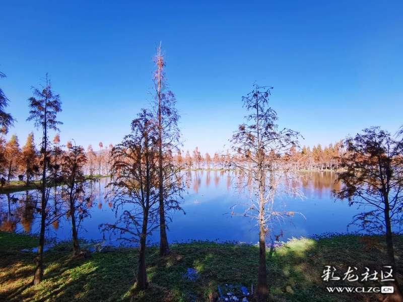 洛阳德平对口器