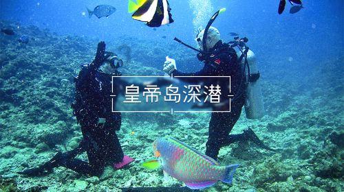 战锤：全面战争
