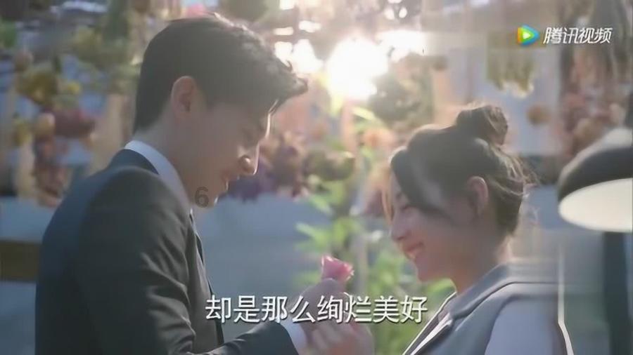 明&清科举考试—进士登科数据