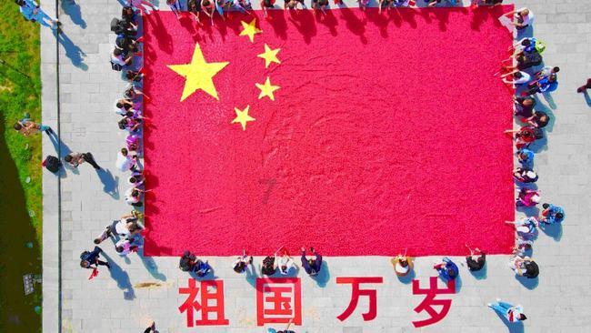 糯雪SNOW猫砂盆评测：智能猫砂盆的天花板