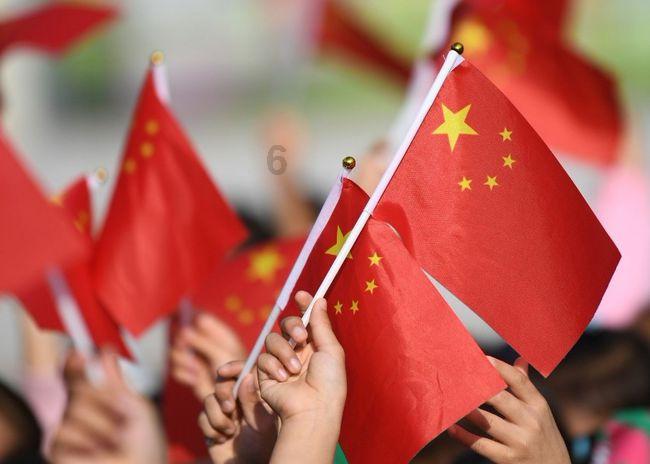 两只狗狗在打闹玩耍，茶杯犬摔倒后直接去世。网友：茶杯犬是畸形犬，自己也受罪，还请不要怪小白！