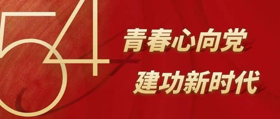 88影视