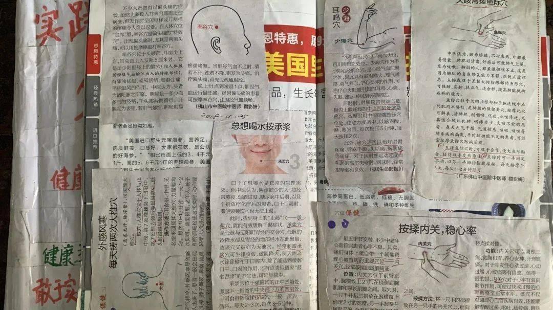 环县坚持创新育种 牵引科技链优化提升