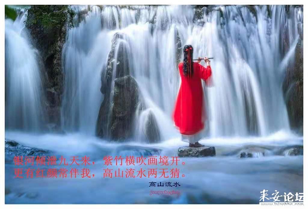 奔跑的兔子