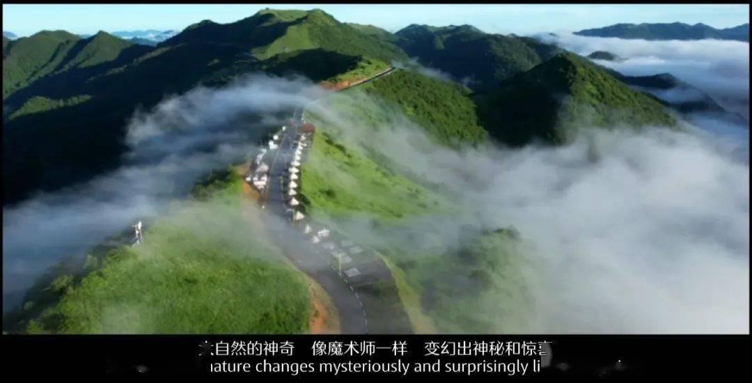 在交管12123上面可以查到驾驶证信息了，是不是驾驶证已经下来了，可以直接去领取驾照了吗