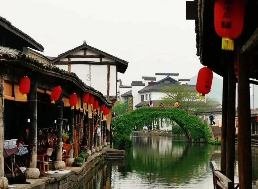拿破仑：全面战争