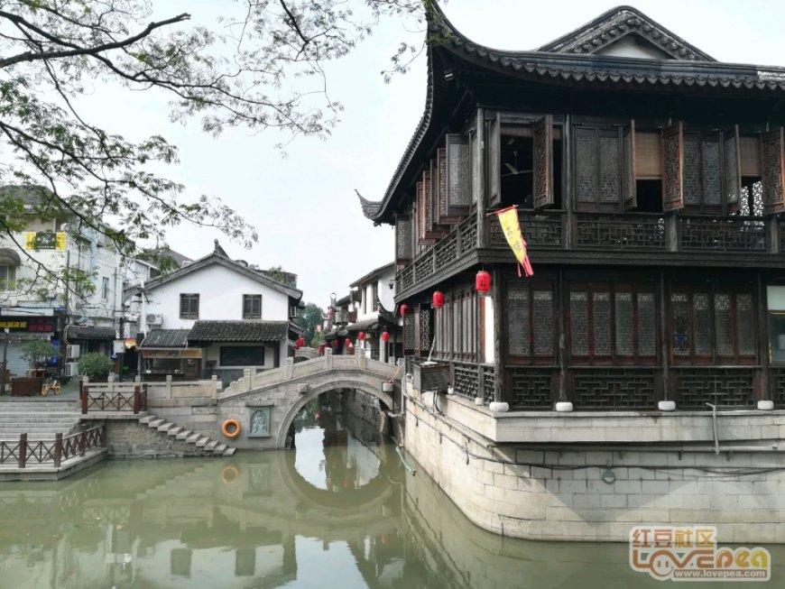 掉头发用啥洗头好?惊天地泣鬼神!终于不秃头了