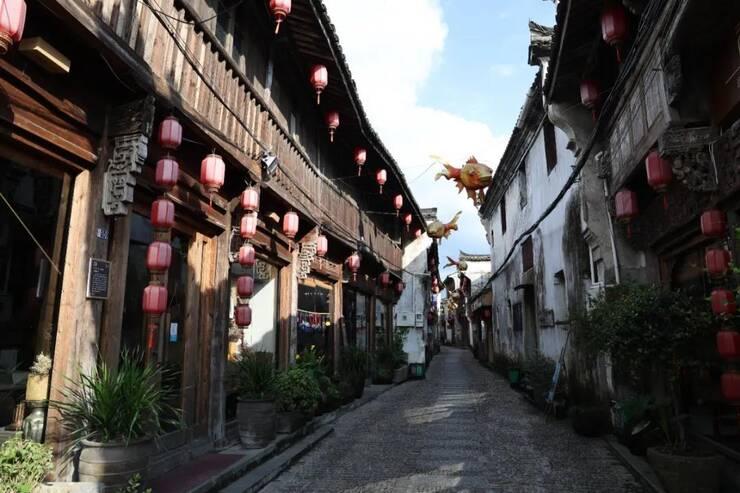 除虫大师