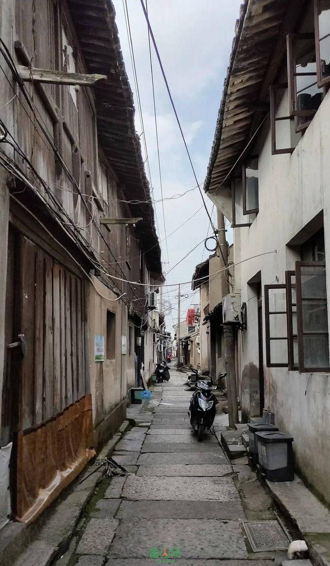黄河流域水鸟栖息地保护仍有空缺，专家建议：推动完善体系建设