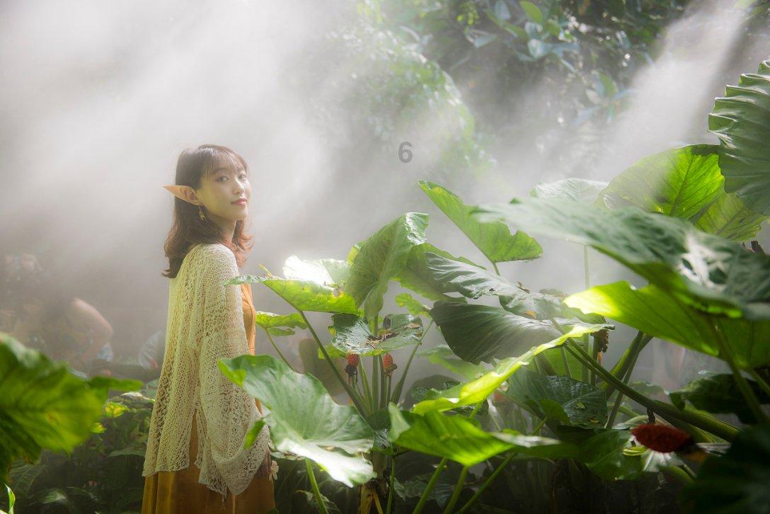 解答疑惑,尽在植物的株高是指什么?蜗牛问答平台